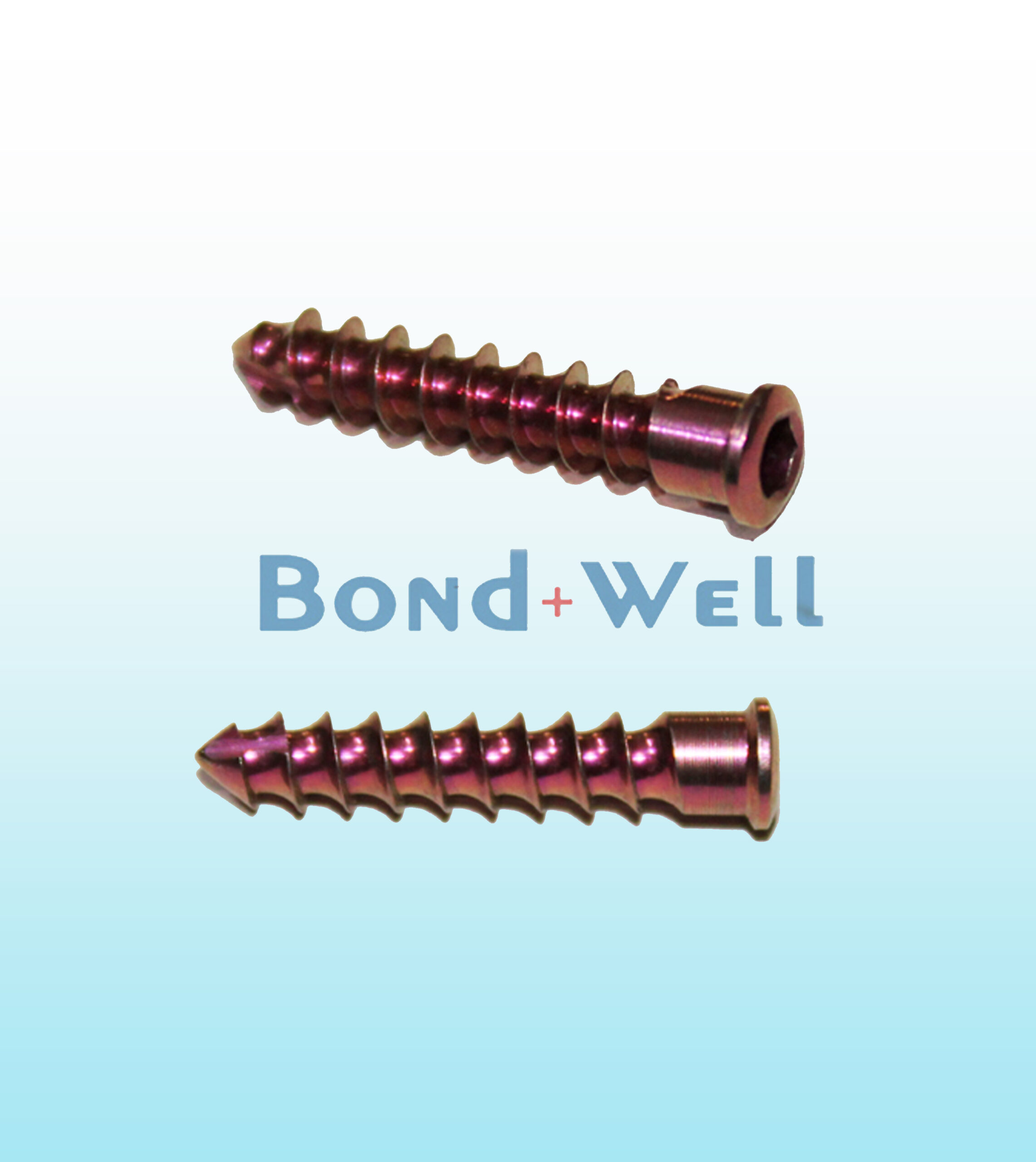 Low profile cancellous screw